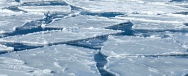 icy cold temperatures when fish hibernate
