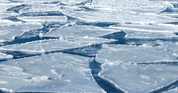 icy cold temperatures when fish hibernate