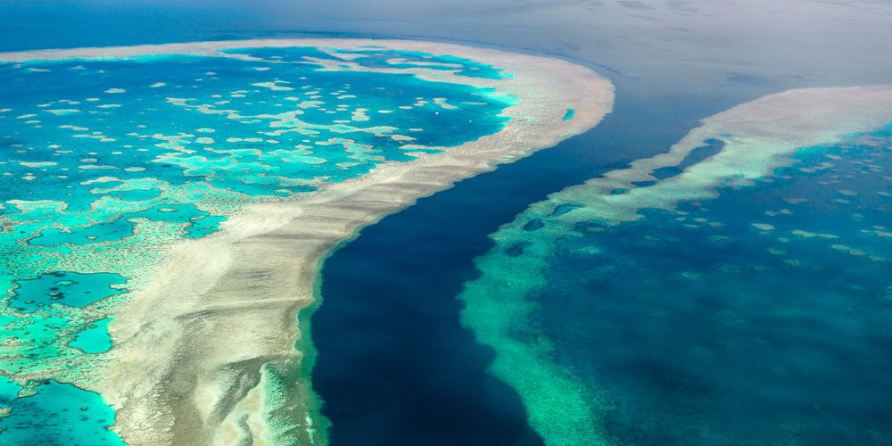 American oceans learn about the world s oceans marine life