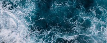 clean sea because people donate to ocean charities