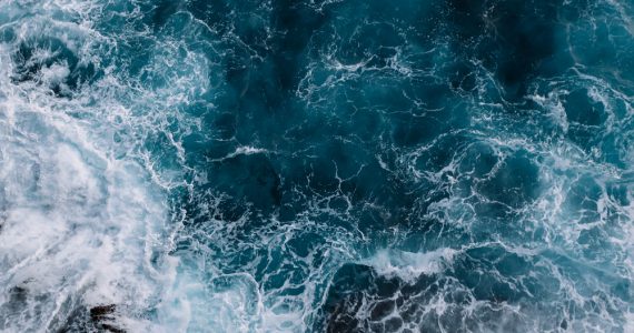 clean sea because people donate to ocean charities