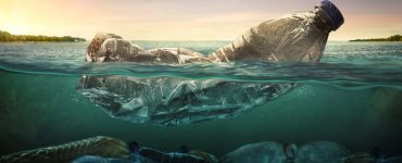 Plastic water bottle in ocean