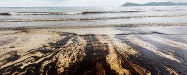 oil stained beach san fran bay