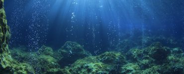 oxygen production by comes from ocean plants