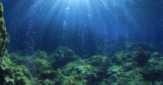 oxygen production by comes from ocean plants