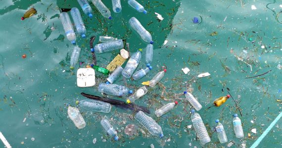 ocean pollution art from pollution in the water