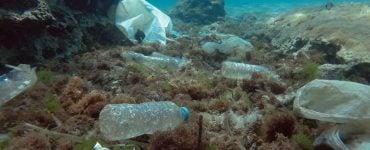 litter and pollution lies and reached down mariana trench