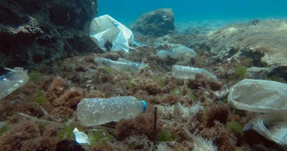 litter and pollution lies and reached down mariana trench