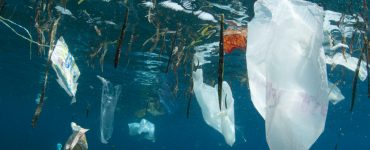trash floating in the pacific garbage patch