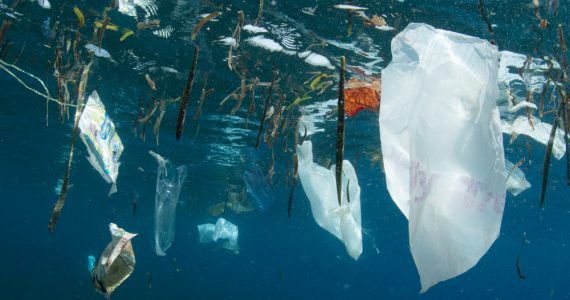 trash floating in the pacific garbage patch
