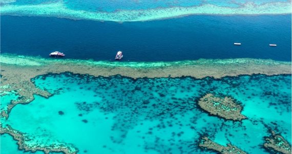 An aerial view of the great barrier reef