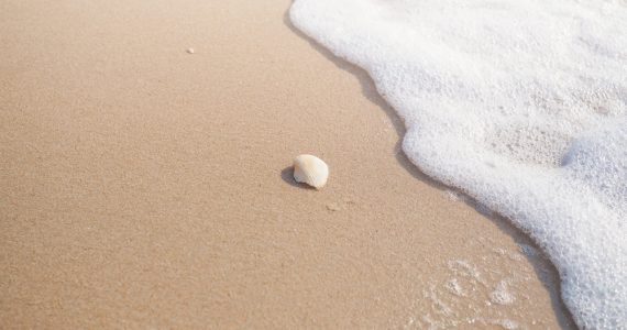 beach water with foamy particles of sea foam