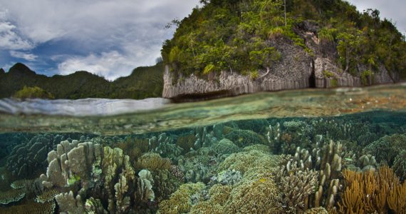 Untouched coral reef and secluded island