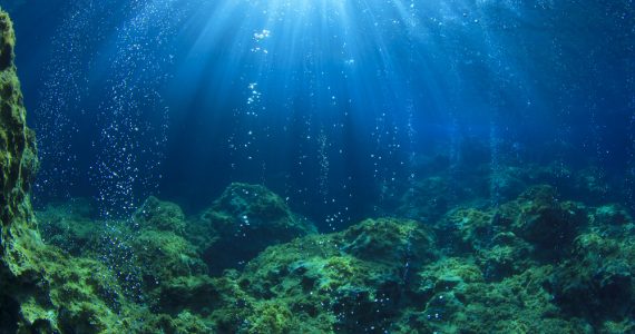 vents in the seafloor that make the ocean salty