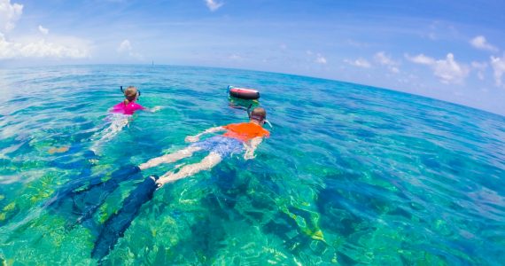 people snorkeling in florida