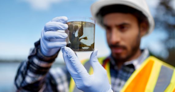 marine biology expert studying samples on jobs
