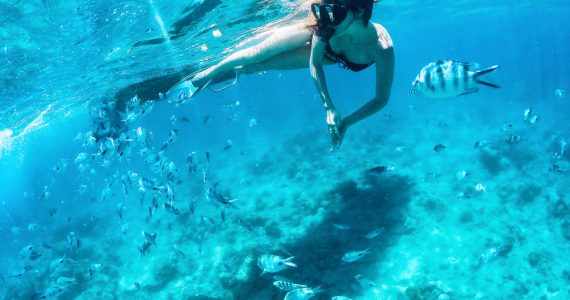 woman snorkeling off the coast of miami