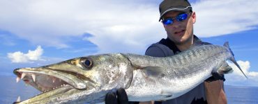Fisherman holding a giant barracuda