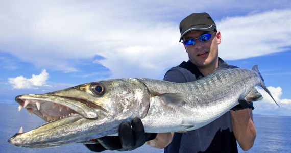 Fisherman holding a giant barracuda