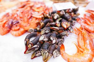 Can You Eat Barnacles?