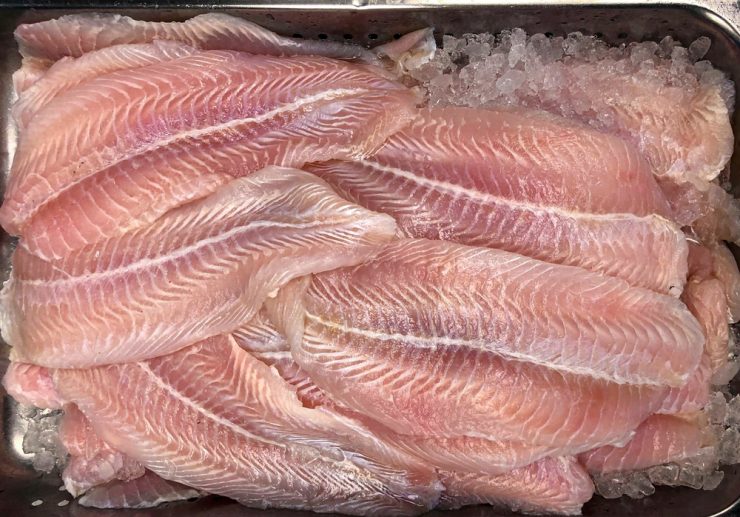 Vibrant Can You Eat Black Drum Wallpaper in HD Vibrant Can You Eat Black Drum Wallpaper in HD