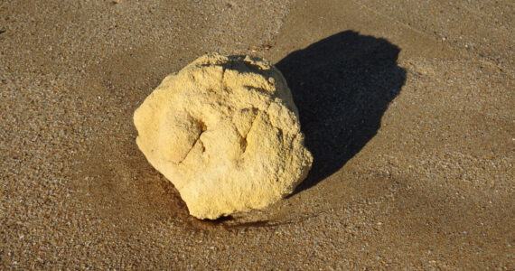Ambergris