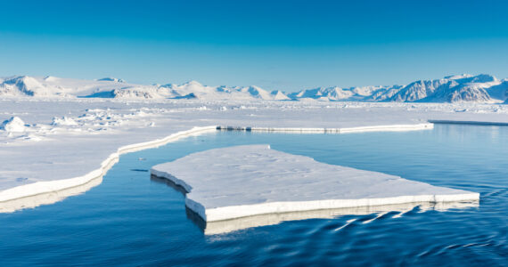 the arctic ocean and icebergs