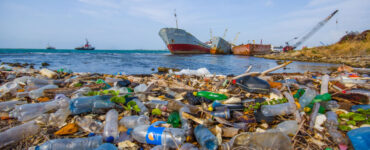 Enviromental Pollution washing ashore