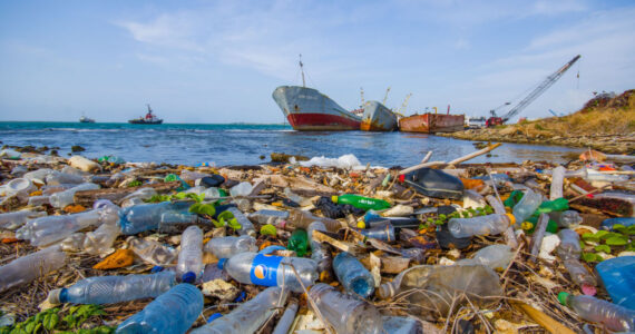Enviromental Pollution washing ashore