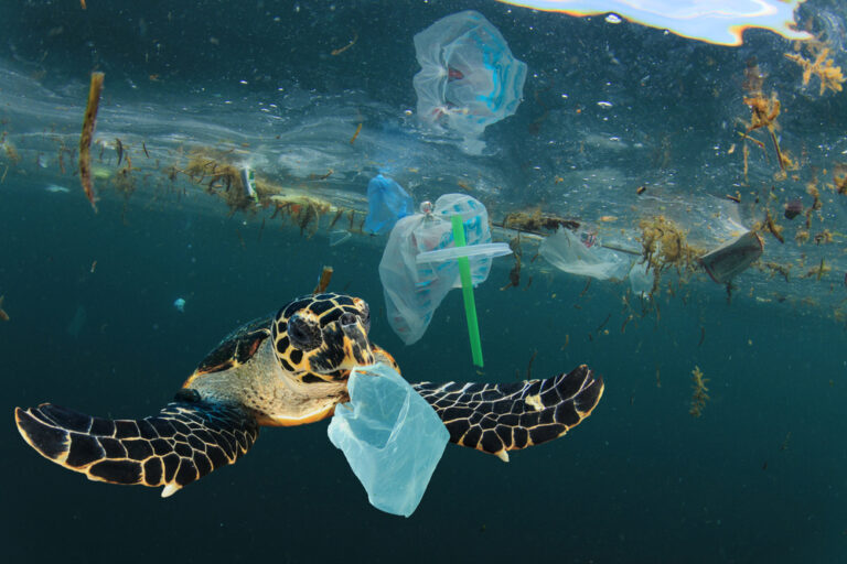 How Many Pounds of Trash in the Ocean: A Global Crisis Explored ...