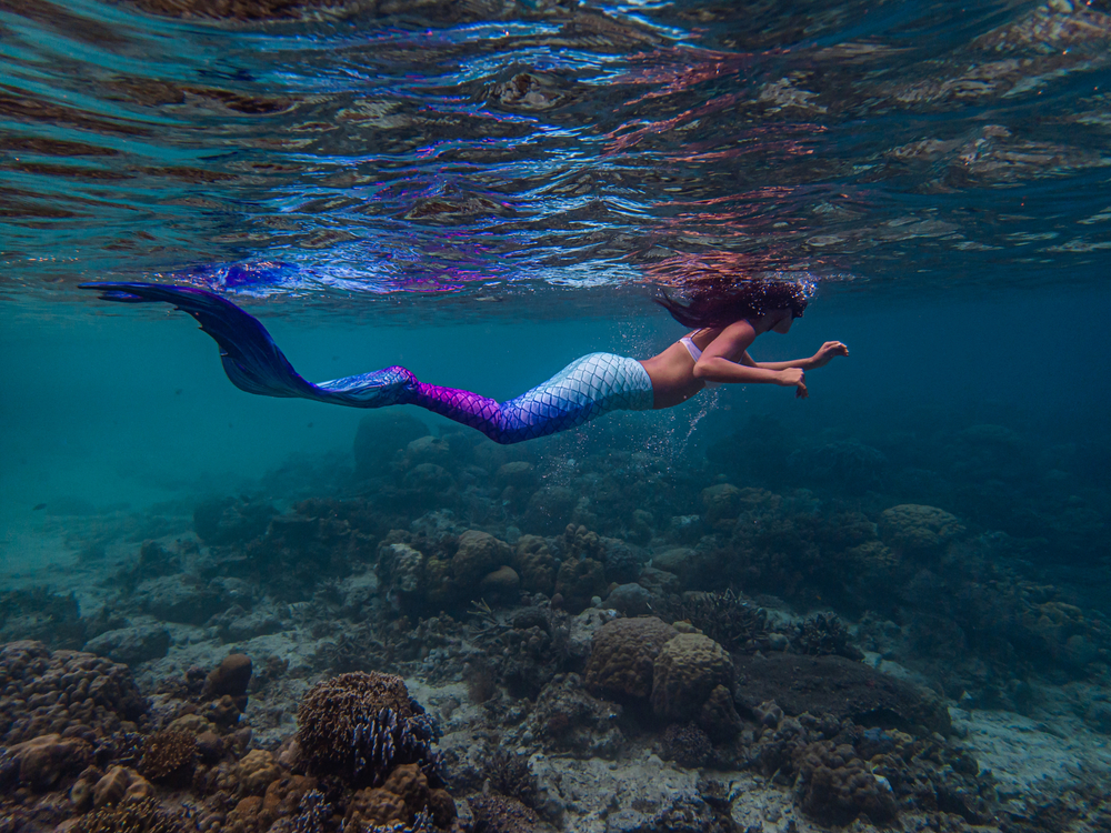 Young female free diver swims underwater in a colorful and sexy mermaid costume
