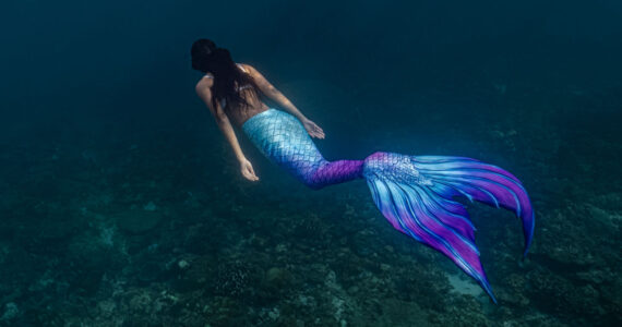 mermaid swimming in the ocean
