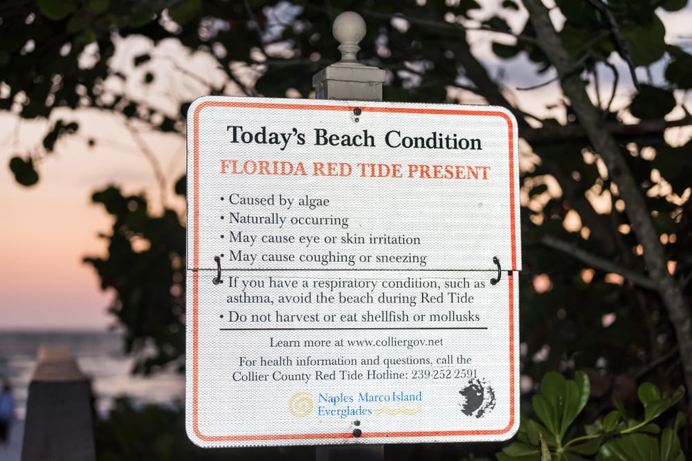 sign for red tide dead fish algae bloom warning
