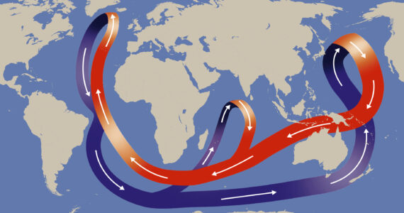 Thermohaline Circulation map