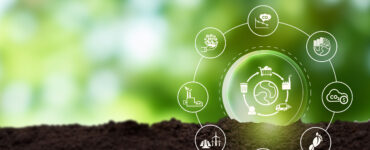 a graphic of the carbon cycle