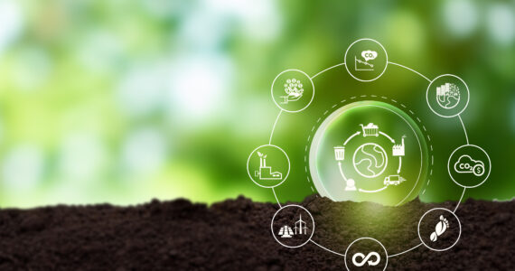 a graphic of the carbon cycle