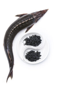 Sturgeon Caviar Facts