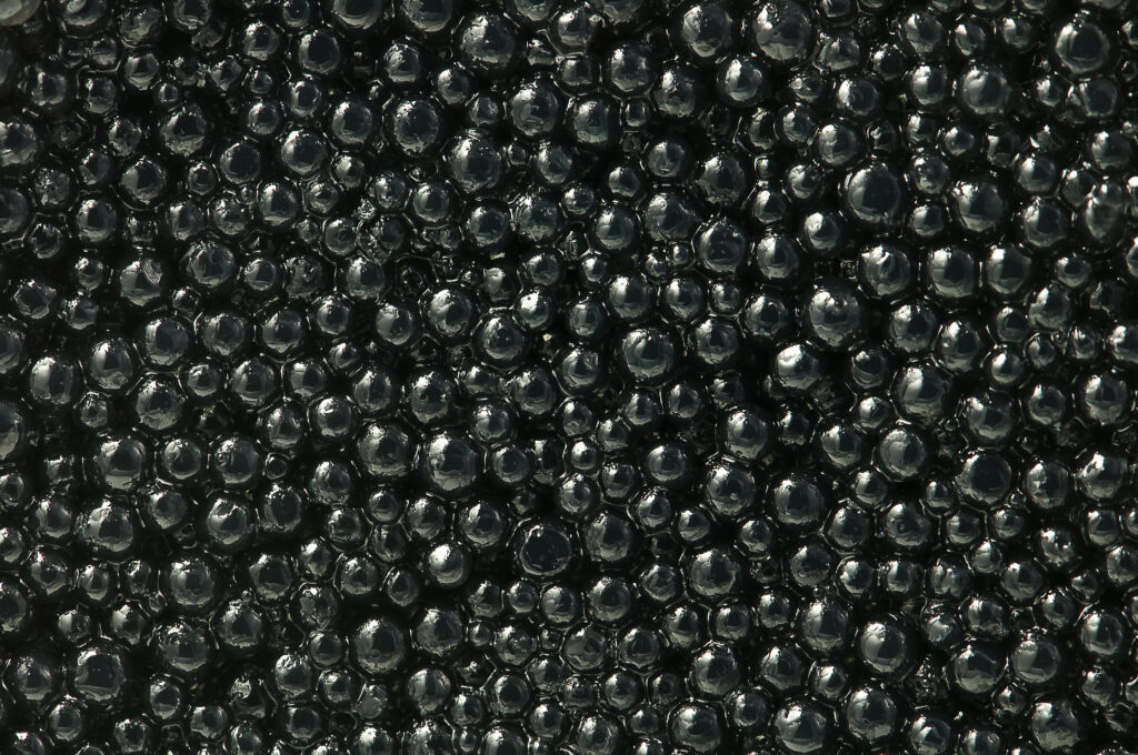 a close up of black sturgeon caviar