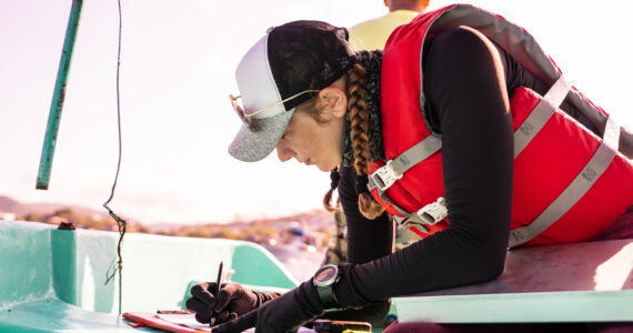 a marine biologist studying the ocean