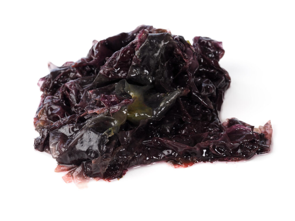 a lump of porphyra seaweed