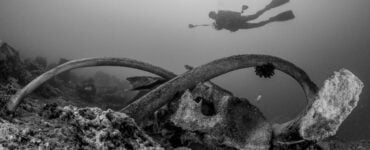 a diver swimming past a whale fall