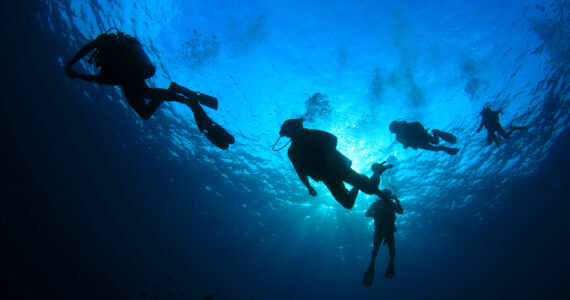 multiple divers descending into the depths