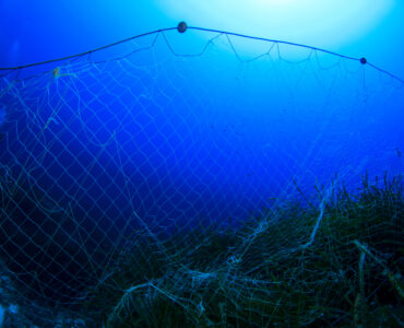 a gill net in the ocean