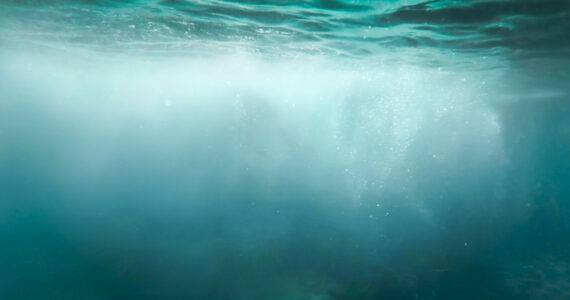 marine snow in the ocean