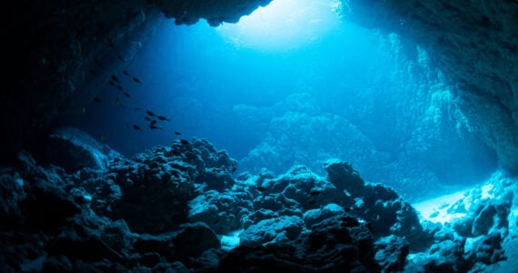 a cave at the bottom of the coean