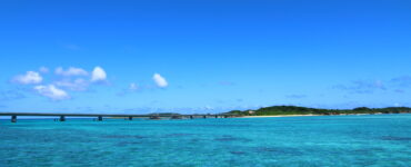 the waters of okinawa japan where sharks are known to live