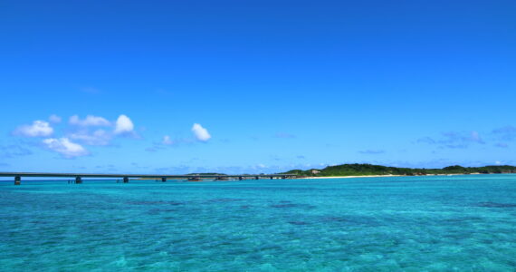the waters of okinawa japan where sharks are known to live