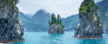 waters around alaska that have sharks in them