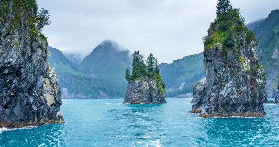 waters around alaska that have sharks in them