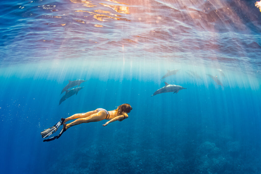 a woman snorkeling in hawaii with sea turtles
